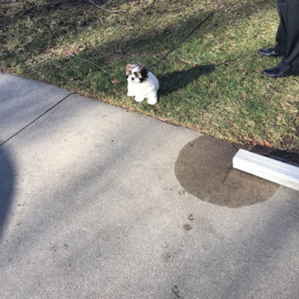 Meet your Posher, Tim